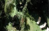 Туры в отель Hotel Alte Post