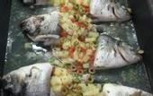Туры в отель Grifone Rimini