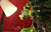 Туры в отель Poniya Hotel