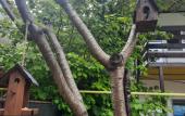 Туры в отель Guest House na Gorkogo