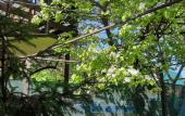 Туры в отель Guest House na Gorkogo