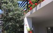 Туры в отель Guest House ASTRA
