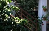 Туры в отель Guest House ASTRA