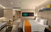 Туры в отель Holiday Inn Chengdu Airport by IHG