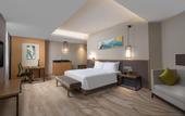 Туры в отель Holiday Inn Chengdu Airport by IHG
