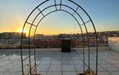 Туры в отель Comfort Suites Hotel