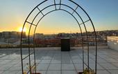Туры в отель Comfort Suites Hotel