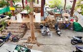 Туры в отель Pott Guesthouse