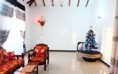 Туры в отель Rodrigo's Villa & Restaurant