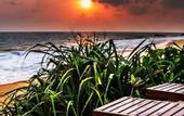 Туры в отель Randiya Beach Villa