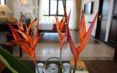 Туры в отель Roxana River Villa