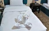 Туры в отель Golden Pyramids Inn