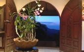 Туры в отель Ever Dreamed of staying in a 2 Bedroom Castle SDV044C - By Samui Dream Villas