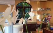 Туры в отель Ever Dreamed of staying in a 2 Bedroom Castle SDV044C - By Samui Dream Villas