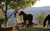 Туры в отель Lost Ridge Inn