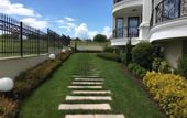 Туры в отель Azur Apartment Deluxe