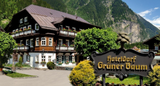 Hoteldorf Gruner Baum 4*