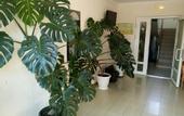 Туры в отель Kosmos Guest House