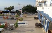 Туры в отель Grand Koru Otel Beach