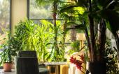Туры в отель Tnr Hotel & Spa