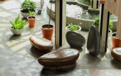 Туры в отель The Botanica Sanctuary Bogor