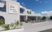 Туры в отель Zoi ayia Napa hotel