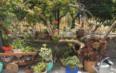 Туры в отель Villa Oliva Butik Hotel