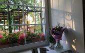 Туры в отель Green Place Mini-hotel