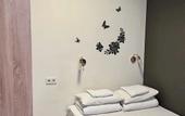 Туры в отель 5Nebo Hostel