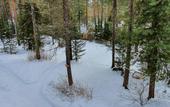 Туры в отель Park-Hotel Bia Zapovednaya Guest House
