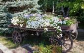 Туры в отель Castro Korpus 1, Korpus 2 Hotel