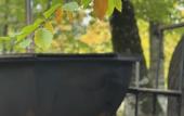 Туры в отель WoodVillas Recreation camp