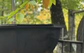 Туры в отель WoodVillas Recreation camp