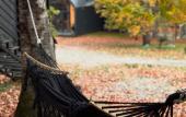Туры в отель WoodVillas Recreation camp