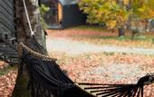 Туры в отель WoodVillas Recreation camp