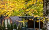 Туры в отель WoodVillas Recreation camp