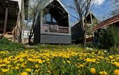 Туры в отель Mezmay Guest House