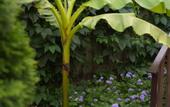 Туры в отель Limonad Guest House