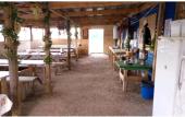 Туры в отель Arkaimskie Prostoryi Recreation Camp