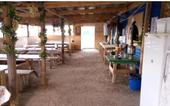 Туры в отель Arkaimskie Prostoryi Recreation Camp