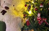 Туры в отель Usad'ba Maanselka Hotel