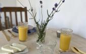Туры в отель 4 Chayki Villa Guest house