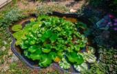 Туры в отель 40 Let Pobedyi Guest House