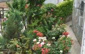Туры в отель Marmari Guest House