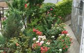 Туры в отель Marmari Guest House