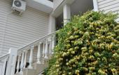 Туры в отель Marmari Guest House