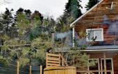 Туры в отель Pihtovyij Bor Park-hotel