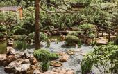 Туры в отель Pihtovyij Bor Park-hotel