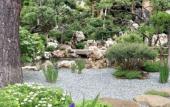 Туры в отель Pihtovyij Bor Park-hotel
