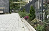 Туры в отель Domus More Guest House